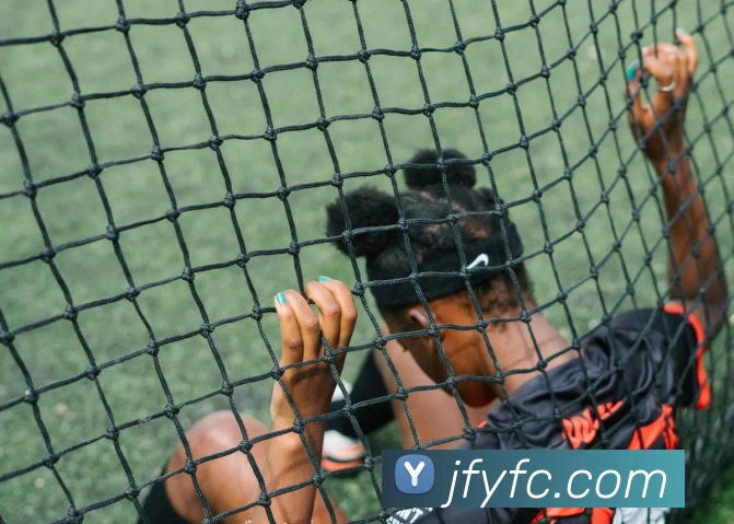 开云平台生态图